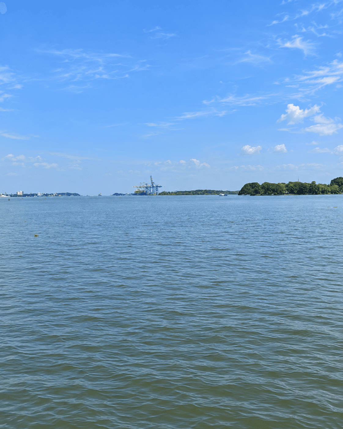 Backwater Cruise